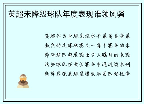英超未降级球队年度表现谁领风骚